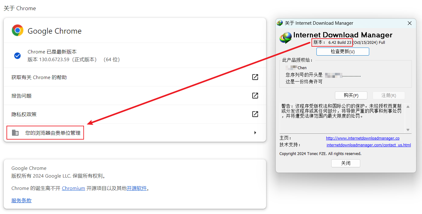 更新 IDM 后的 Chrome 关于页面和 IDM 的版本
